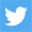 Twitter Icon